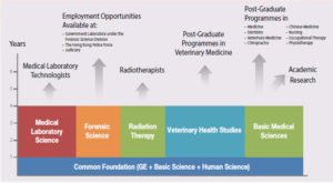 Importance of Expanding Knowledge throughout Nursing Career